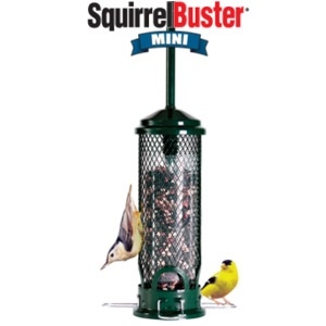 Brome Squirrel Buster Mini