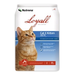 Loyall Cat & Kitten Formula 30/15