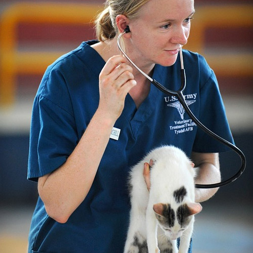 Browse Online View Our Product Catalog Talmage Farm Agway