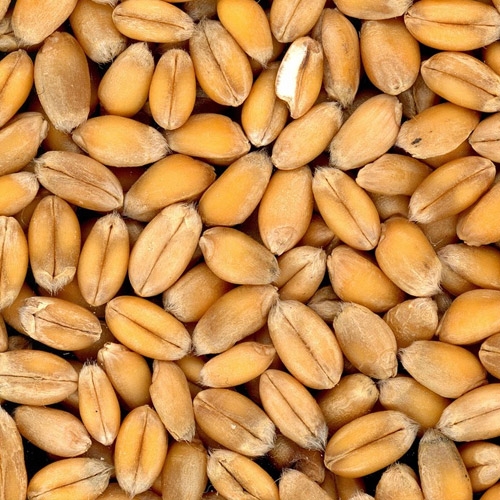 Browse Online View Our Product Catalog Talmage Farm Agway