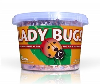 Beneficial Lady Bugs (500/Cup)