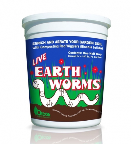 Earthworms (Red Crawlers) 1/2 Cup