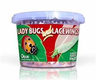 Lady Bugs and Green Lacewings (Combination Pack)