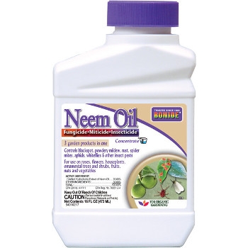 Neem Oil Concentrate, 16 oz.