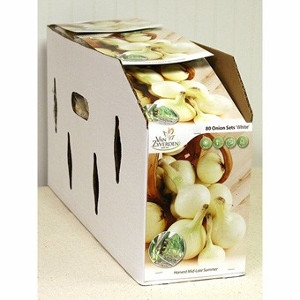 Onion – White – Pack of 80 