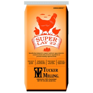 Super Lay 22 Chicken Feed