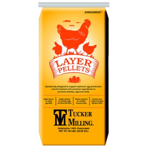 16% Layer Pellets Chicken Feed