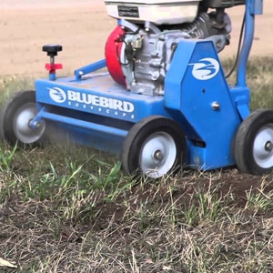 Bluebird® Lawn Comber/Dethatcher