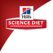 Hill's Science Diet Dog and Cat Food