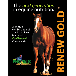 Renew Gold™ Non-GMO Equine Supplement