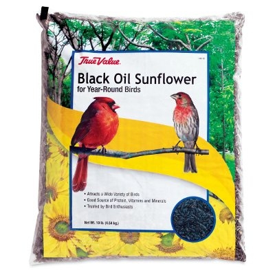 Black Oil Sunflower Seed, 10 lbs.
