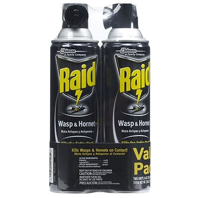 Raid® Wasp & Hornet Killer, 14oz. 2-Pack