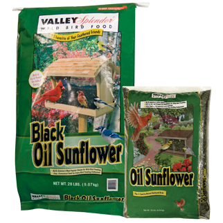 Valley Splendor Black Oil Sunflower Bird Seed