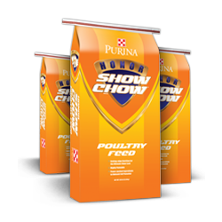 Honor® Show Chow® Poultry Prestarter