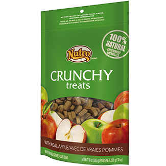 NUTRO Crunchy Treats Apple 12/10OZ