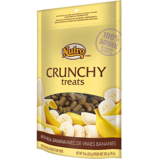 NUTRO Crunchy Treats Banana 12/10OZ