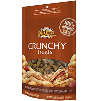 NUTRO Crunchy Treats Peanut Butter 12/10OZ