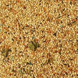 Volkman Seed Co. Super Finch Bird Food