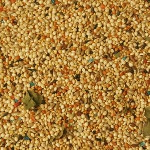 Volkman Seed Co. Super Parakeet Bird Food