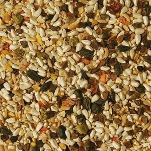 Volkman Seed Co. Parrotlet Bird Food