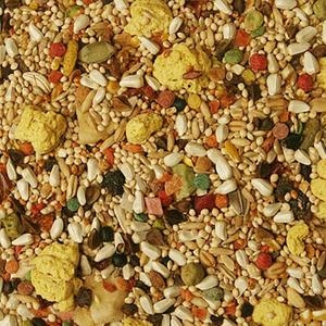 Volkman Seed Co. Small Hookbill Bird Food