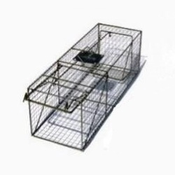 Pied Piper Animal Traps