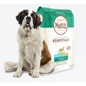 Wholesome Essentials™ Large Breed Puppy Lamb & Rice Recipe