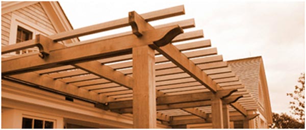 Wester Red Cedar Arbor