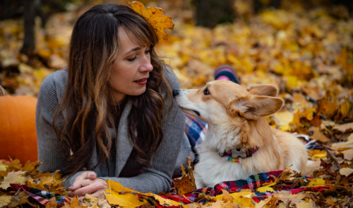 Thanksgiving Foods You Should Avoid Giving Your Pet!