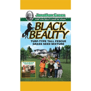 Black Beauty™ Grass Seed