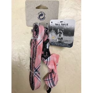 Pink Leash and Collar Set