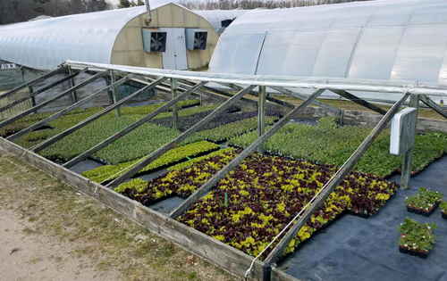 nursery facility