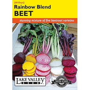 Rainbow Blend Beet Seeds by Lake Valley Seed