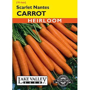 Scarlet Nantes Heirloom Carrot Seeds by Lake Valley Seed