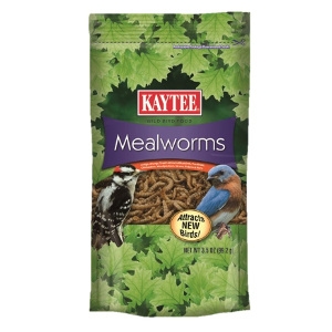 Meal Worms 