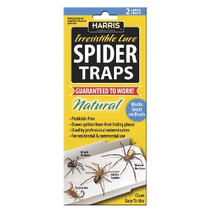 Spider Traps 