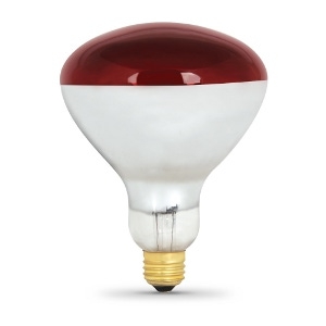 250 Watt Incandescent Heat Lamp