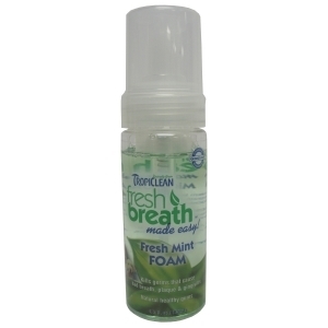 Fresh Breath Mint Foam