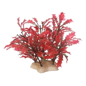 NATURAL ELEMENTS CRIMSON WATER HOLLY