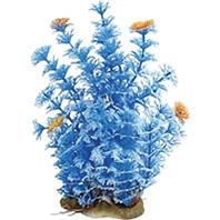 Natural Elements Cabomba