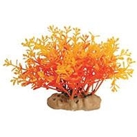 Natural Elements Lindernia Mound