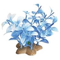 Natural Elements Ludwigia Cluster