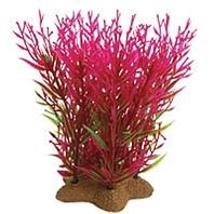 Natural Elements Diandra