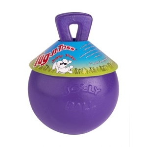 Tug-N-Toss Ball Purple 10 Inch