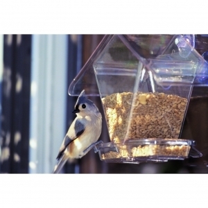 Cafe Window Feeder Clear 3/4 Quart