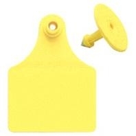 Allflex Female Blank Tags Yellow Large