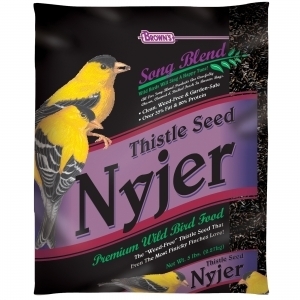 Songblend Nyjer/Thistle Seed