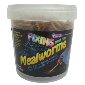 Mealworm Fixins Tub