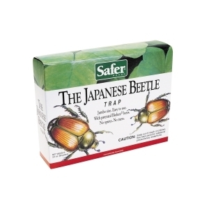 Japanese Beetle Trap