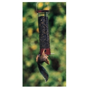 Yankee Dipper Squirrel Proof Bird Feeder Burgundy 21”